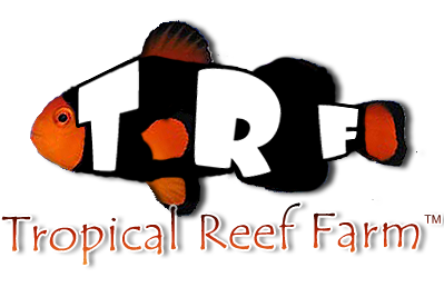 Tropical Reef Farm